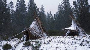 Natural Shelters in Light Snow